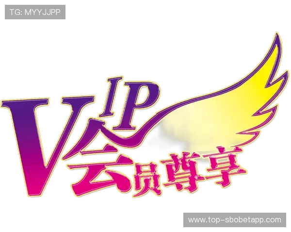 新富豪娱乐城VIP会员制度详解尊享专属特权提升您的游戏体验 新富豪娱乐城VIP会员制度详解尊享专属特权提升您的游戏体验